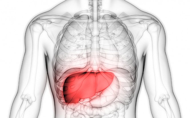 All About Your Liver Function - How Home Testing Can Help You Private Online Testing - All About Your Liver Function